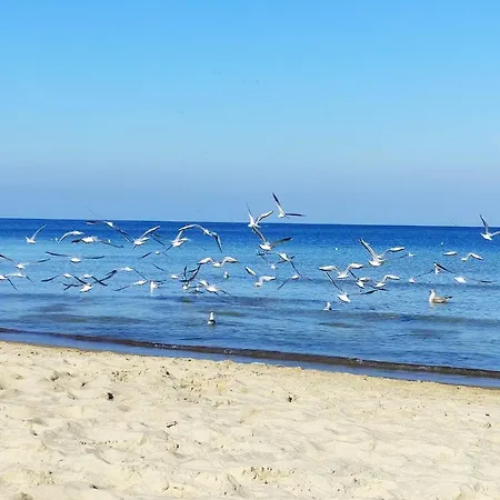 Appartamento Planeta102 Blisko Plazy Mielno (Koszalin)