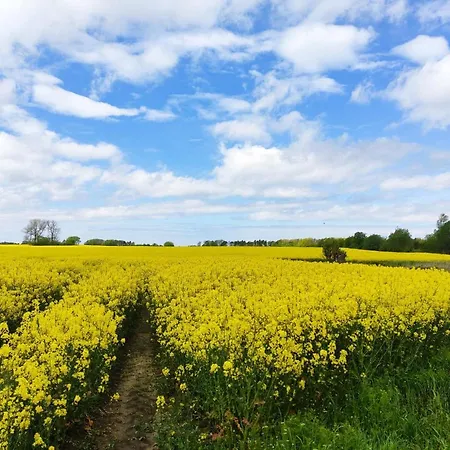 Planeta102 Blisko Plazy Mielno (Koszalin)