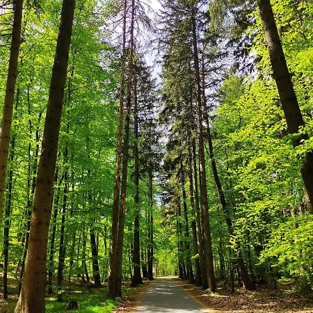 Planeta102 Blisko Plazy 아파트