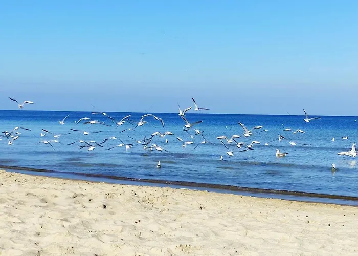 شقة Planeta102 Blisko Plazy ميلنو