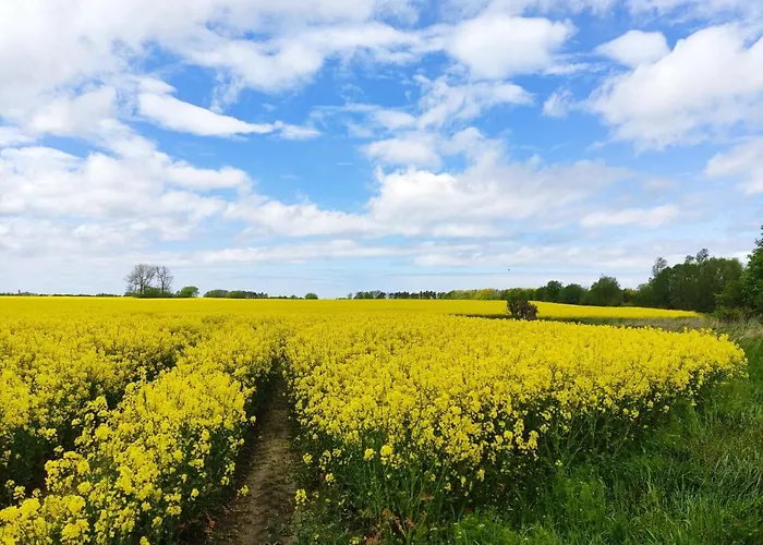 Planeta102 Blisko Plazy ميلنو