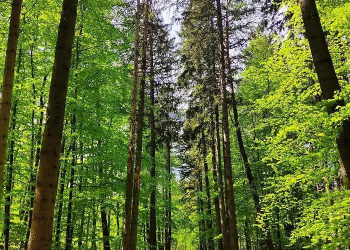 Planeta102 Blisko Plazy شقة